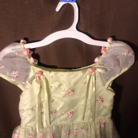 Biscotti collection - Picture 2 of 8